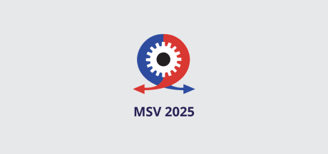 Logo msv